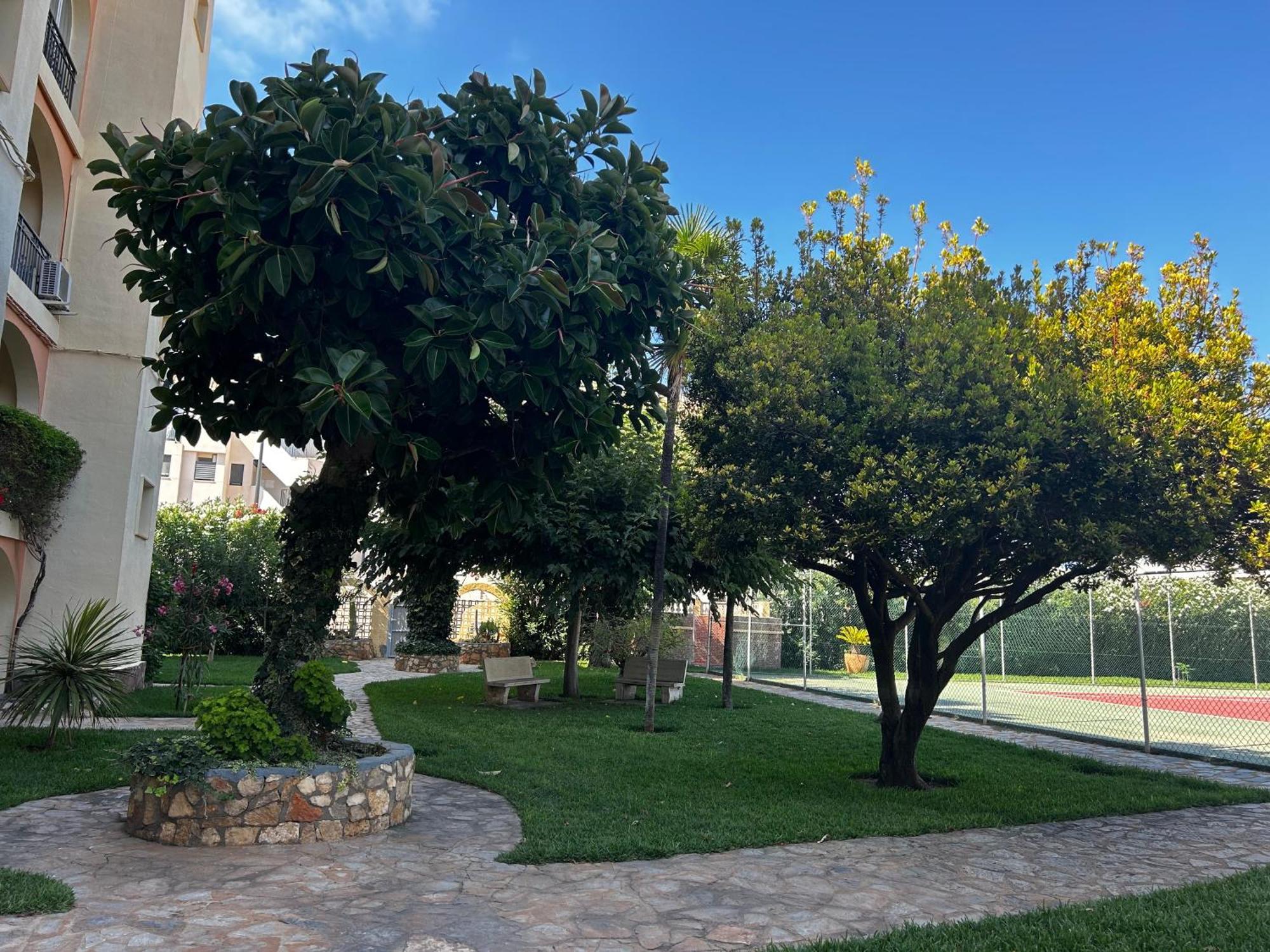 Appartement Belvedere